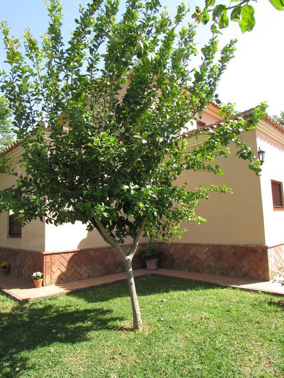 Casa Rural Oregano Кармона Экстерьер фото