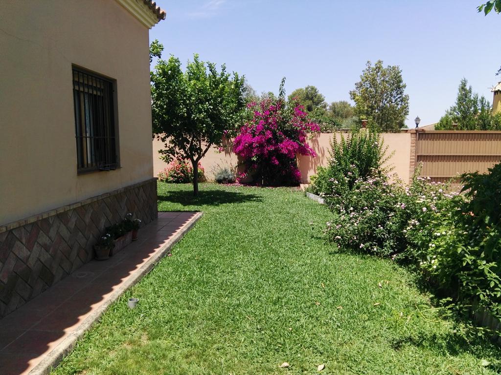 Casa Rural Oregano Кармона Экстерьер фото